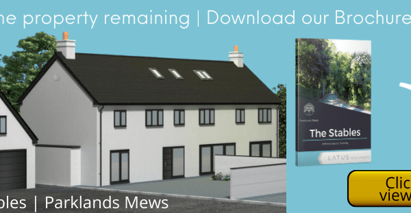 118709368_155793142817972_3186656610367030382_n